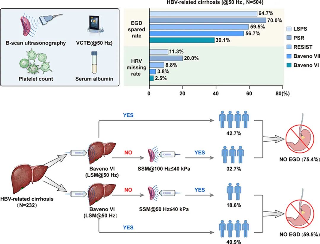 JOH丨南方医科大学陈金军教授团队：脾脏硬度测量可减少75%慢乙肝肝硬化的胃镜筛查
