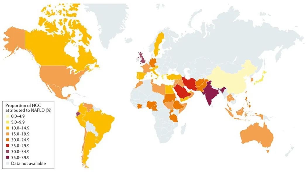 Nature 综述：中国脂肪肝相关肝癌发病率将升高86%，急需预防！