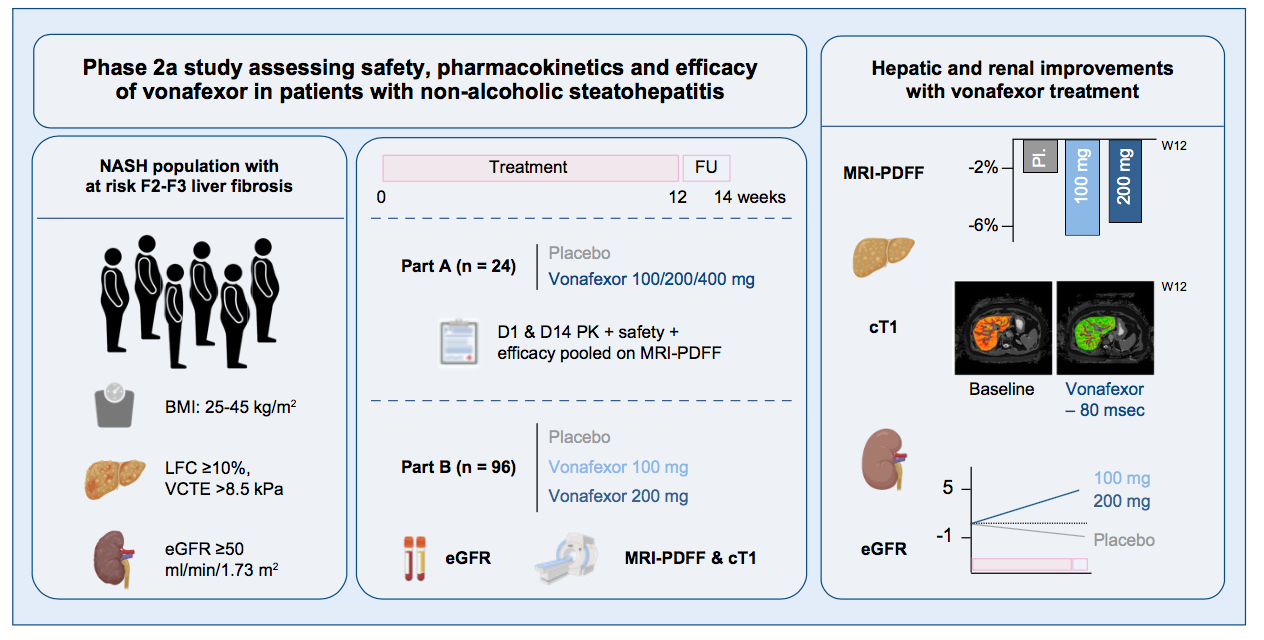 FXR激动剂对疑似纤维化NASH患者的肝脏和肾脏改善
