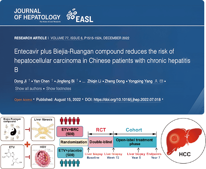 复方鳖甲软肝片联合抗病毒药物治疗，可显著降低肝癌发生